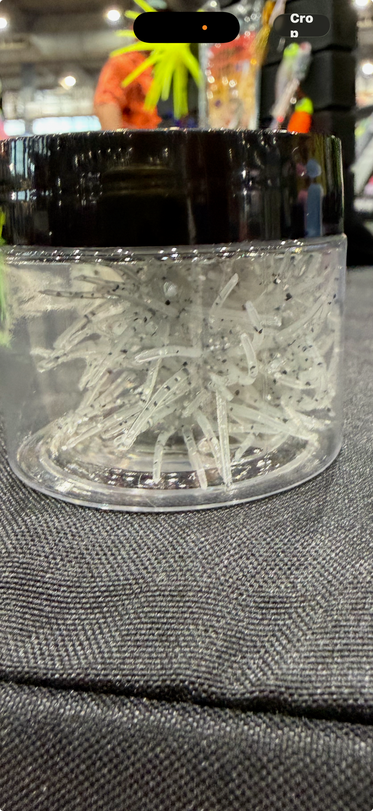 10 ct. Crappie Urchins